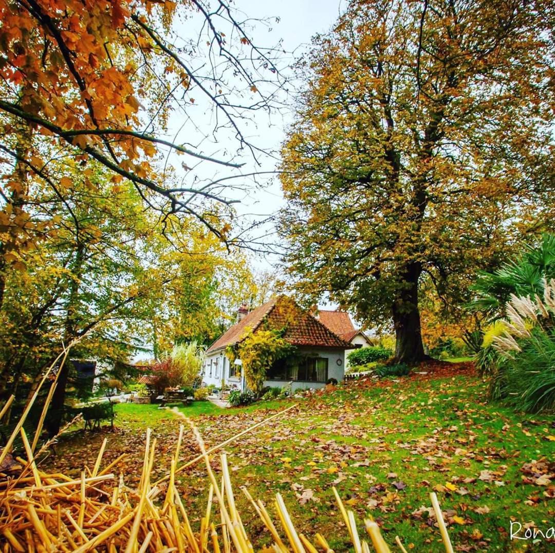 Le Clos De Marenla Buitenkant foto